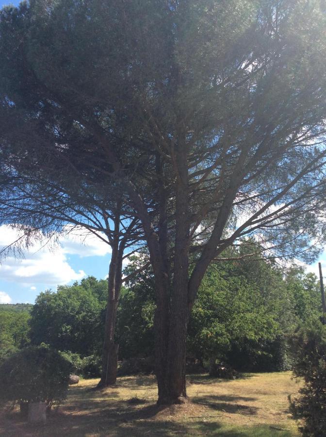Le Jardin Du Moustoulac Chambres D'Hotes Cahors Kültér fotó